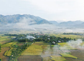 Cánh đồng Mường Lò