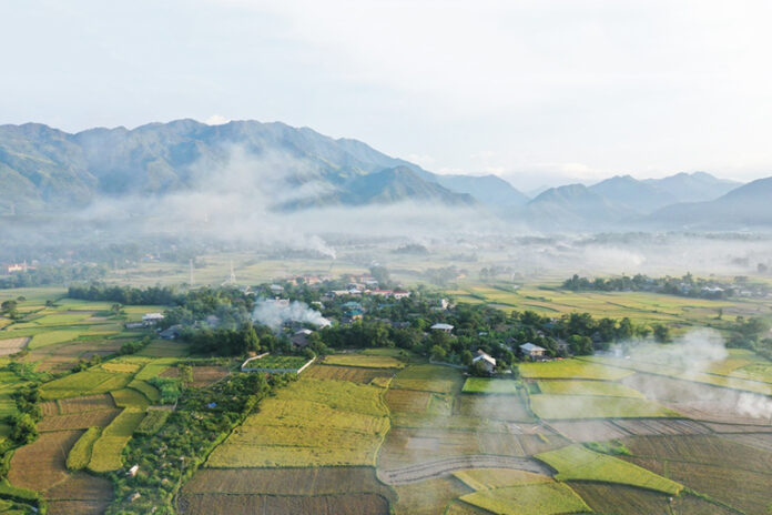 Cánh đồng Mường Lò