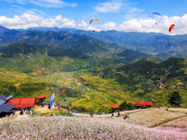 Kinh nghiệm du lịch Yên Bái