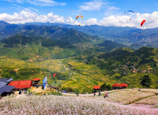 Kinh nghiệm du lịch Yên Bái