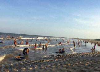 Bãi biển Thịnh Long ở đâu và có hoạt động gì hấp dẫn? bãi biển Thịnh Long