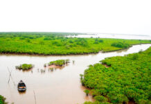 Khám phá vườn Quốc gia Xuân Thủy – Trải nghiệm ngồi ghe ngắm cảnh Khám phá vườn Quốc gia Xuân Thủy