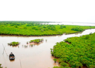 Khám phá vườn Quốc gia Xuân Thủy