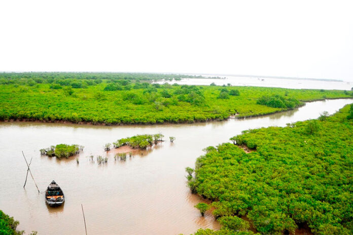 vuon-quoc-gia-xuan-thuy Khám phá vườn Quốc gia Xuân Thủy