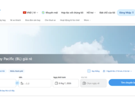 Bay Trong Nước Hay Quốc Tế? Cách Chọn Hãng Hàng Không Thông Minh